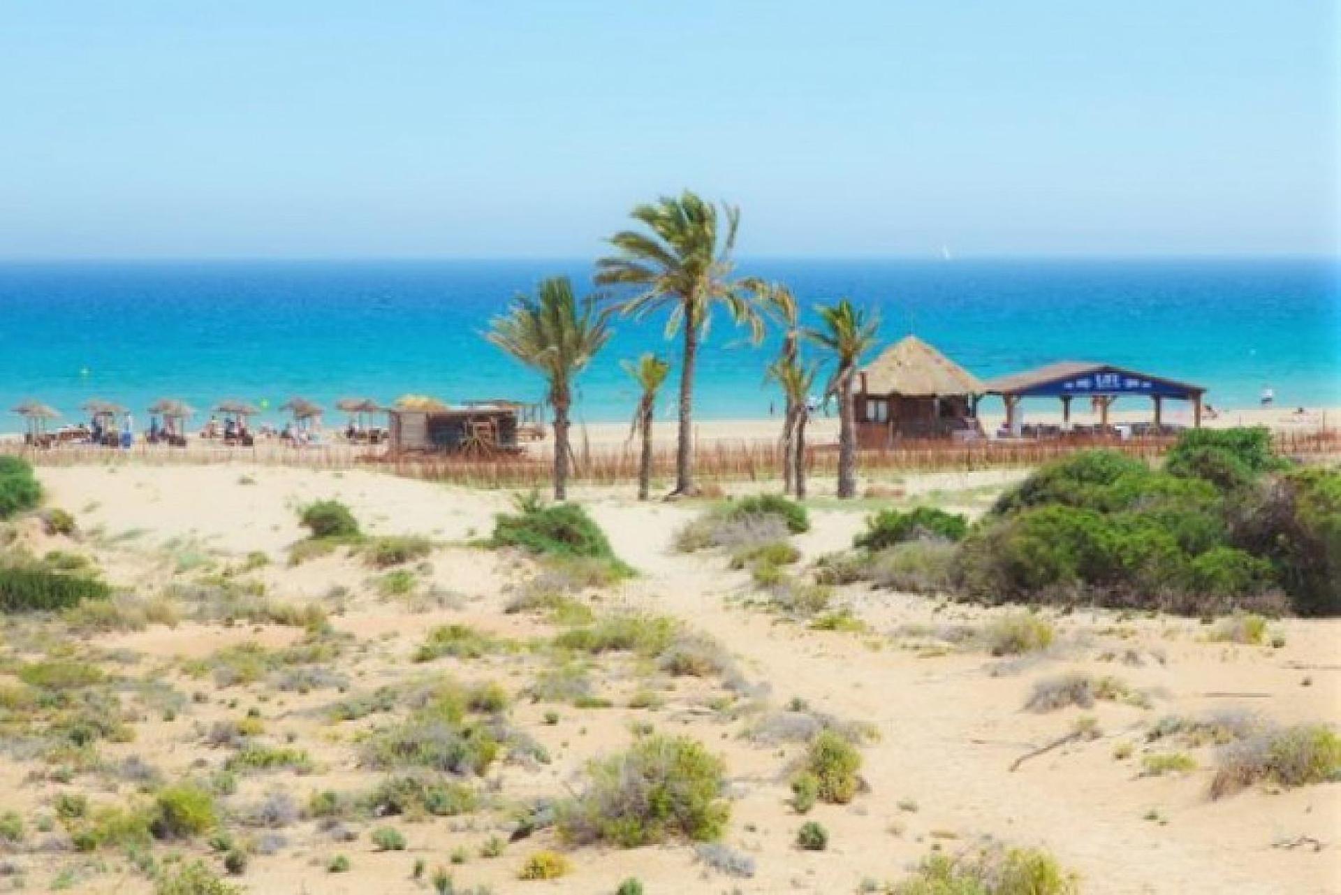 Mediterraneamente Soleado Santa Pola Zewnętrze zdjęcie